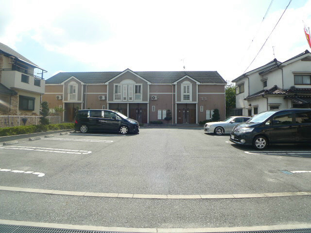 コモドジラソーレ その他8