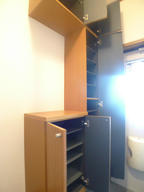 コモドジラソーレ その他10