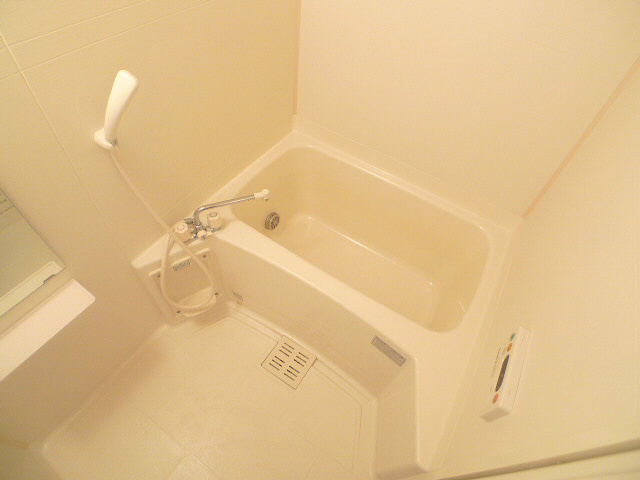 コモドジラソーレ その他13