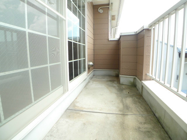 コモドジラソーレ その他14