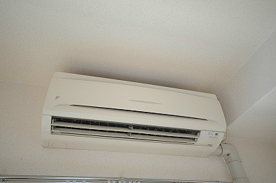 エリアグリーン  その他21