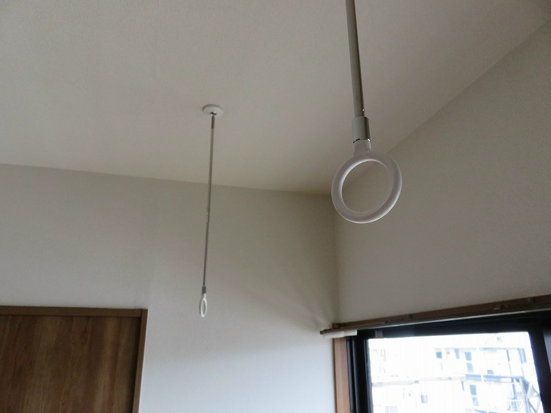 ネオニシキ その他5