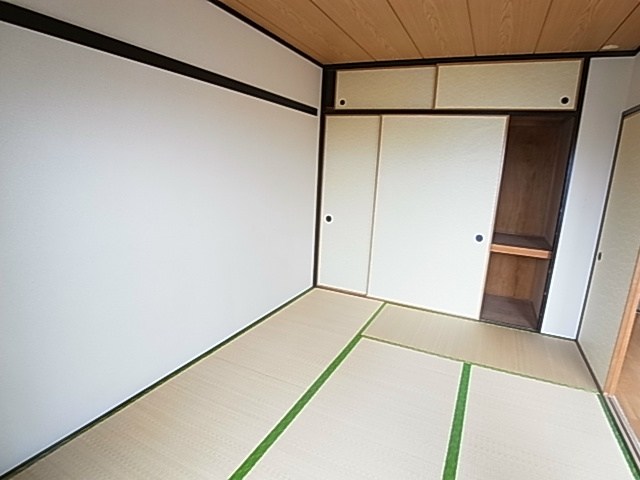 その他11