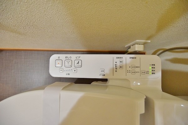 ロイヤルノースナイン その他15