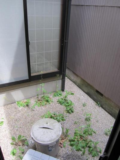 愛知県名古屋市千種区西崎町１丁目 その他