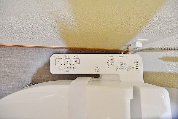 ロイヤルノースナイン その他14