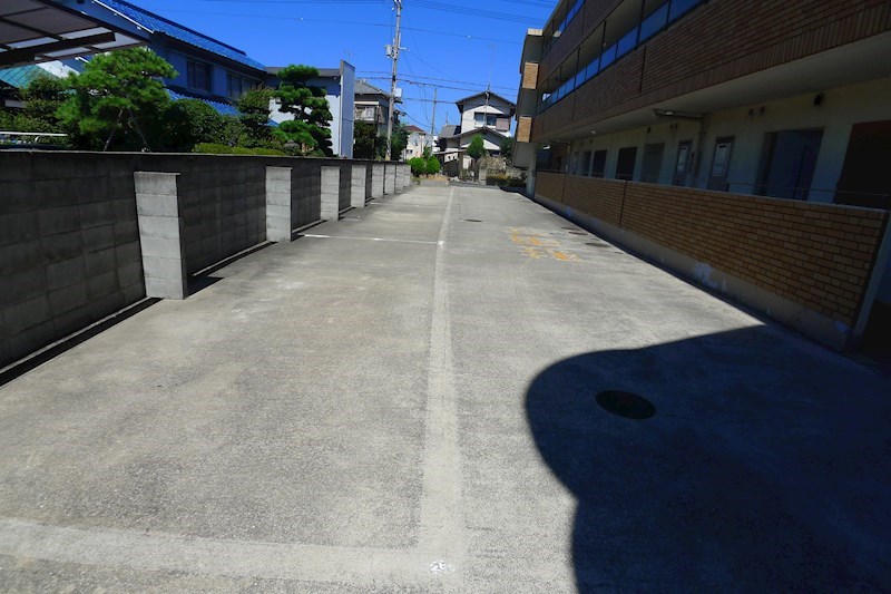 ウィステリア その他5