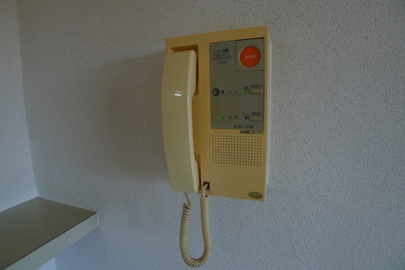 ウィステリア その他6