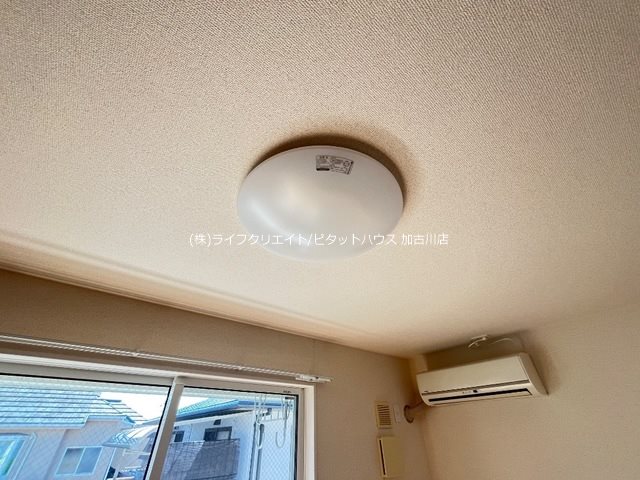 くるり その他7