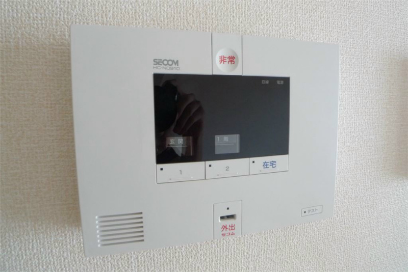 サフラン その他3