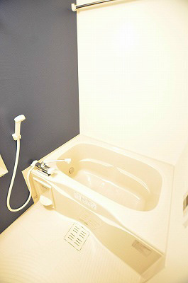 Advance Court Nakai（アドヴァンスコート中井） 風呂画像