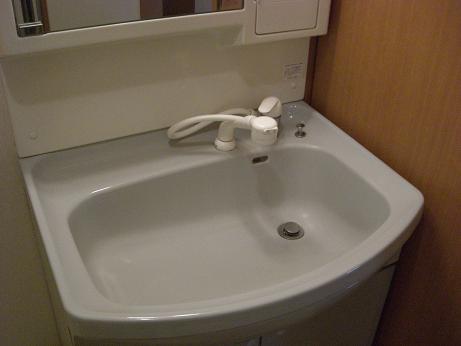 グレィト大清水 洗面所