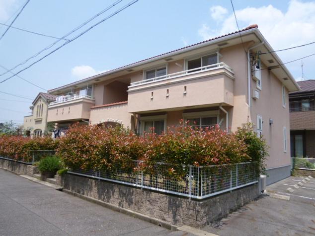 ＰＡＴＩＯ ＫＡＳＨＩＷＡＩ その他