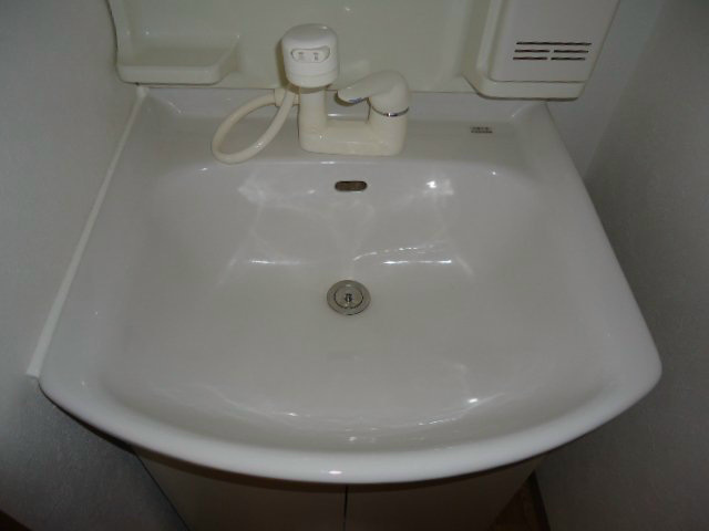 ハイムカトレア 洗面所
