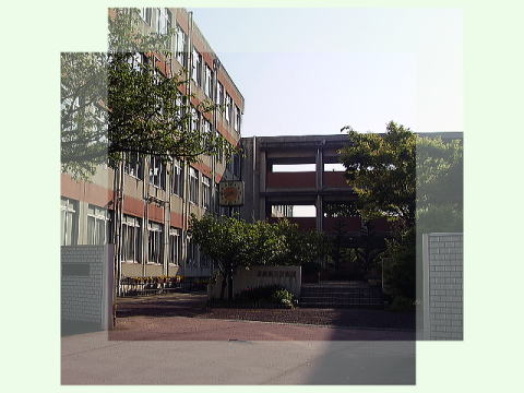 愛知県名古屋市千種区新西２丁目 小学校