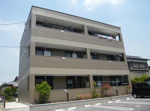 グレイシャス平手南 その他