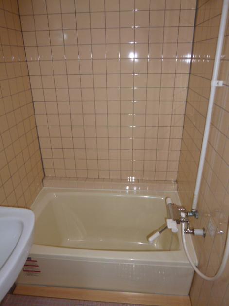 愛知県名古屋市瑞穂区田辺通２丁目 風呂画像