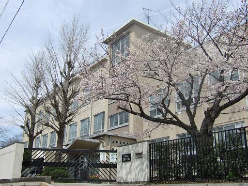 レインボーヒルズ 小学校