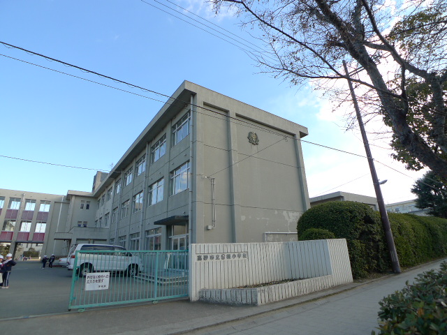 パインコート・SEIWA A棟 周辺画像3