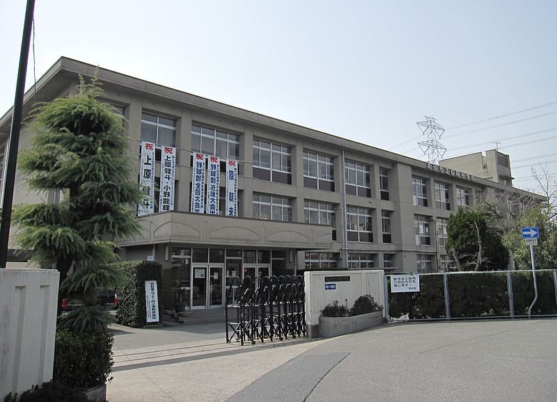 パインコート・SEIWA A棟 周辺画像4