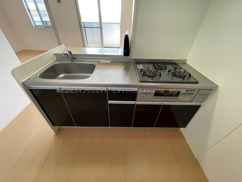 アリスⅡ その他11