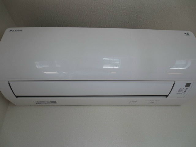 STELLA51（ステラ51） その他2