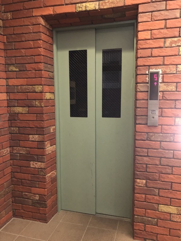 Forest　Wind その他7