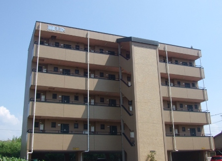 ワンピース 503 マンション 居住用 の物件情報 公式 若菜エステート株式会社 不動産の賃貸 売買