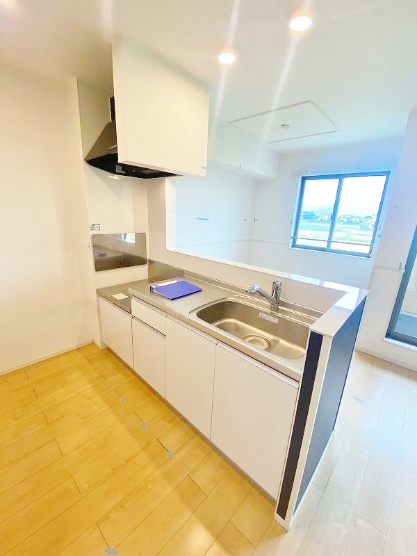 リアルエステートＸⅡ キッチン