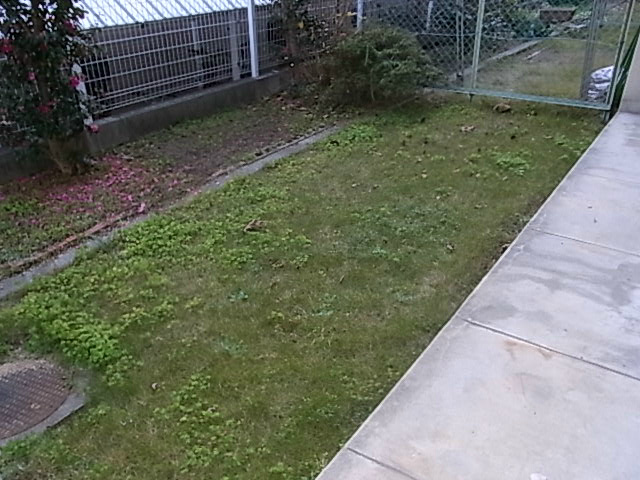 バーンフリート真上 ベランダ