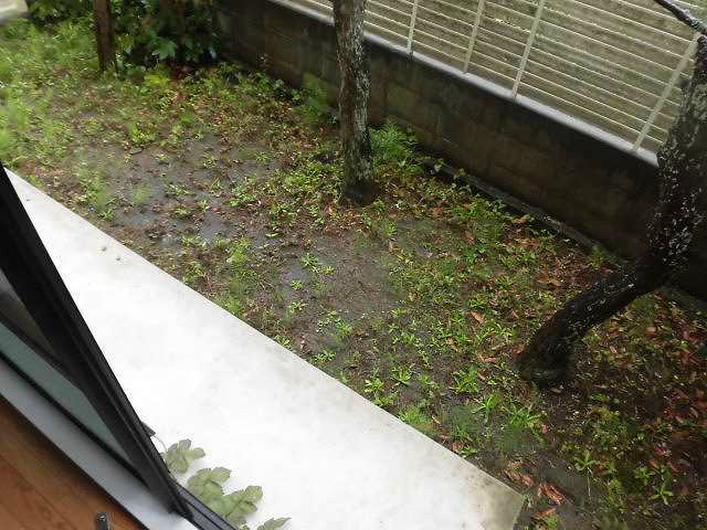 フェアモント北鎌倉 ベランダ