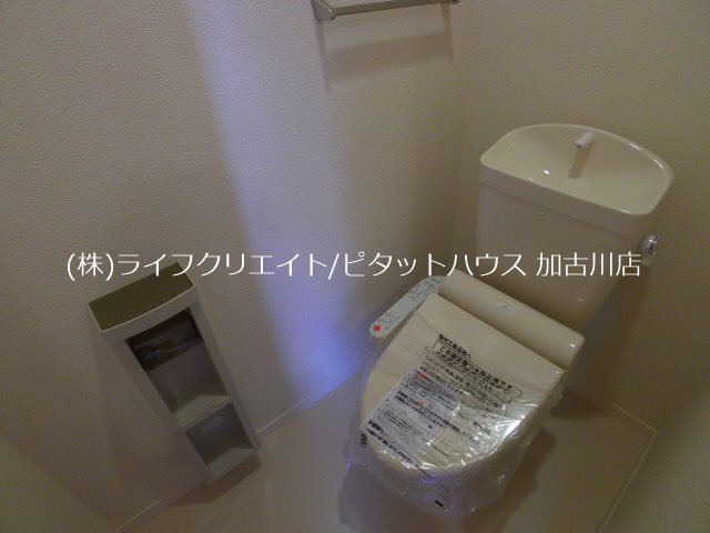 ポートエリザベス その他2