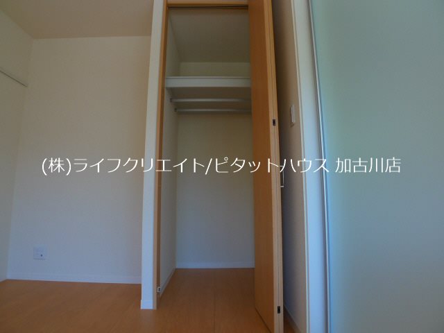 ポートエリザベス その他8