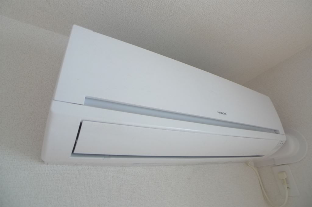 パイン　グローブ その他4