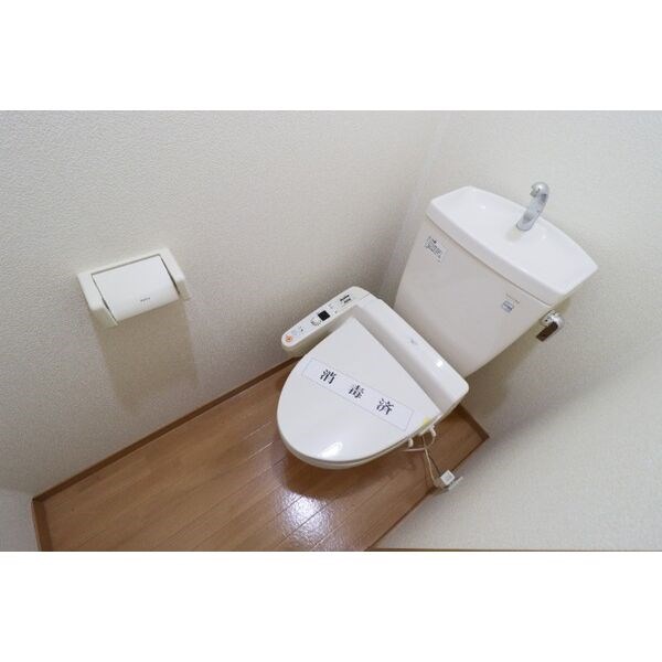 Y&amp;rsquo;ｓガーデン その他1