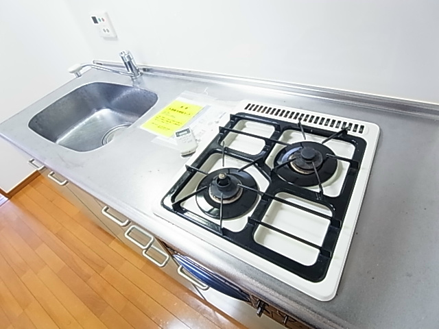 ラフィーヌ・昴 その他9