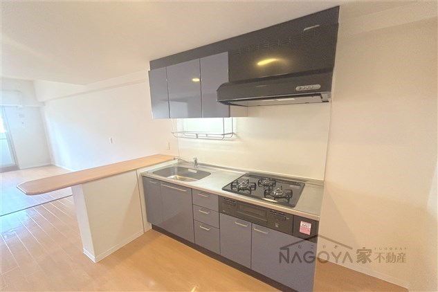 Gramercy Shirakawa Koen キッチン