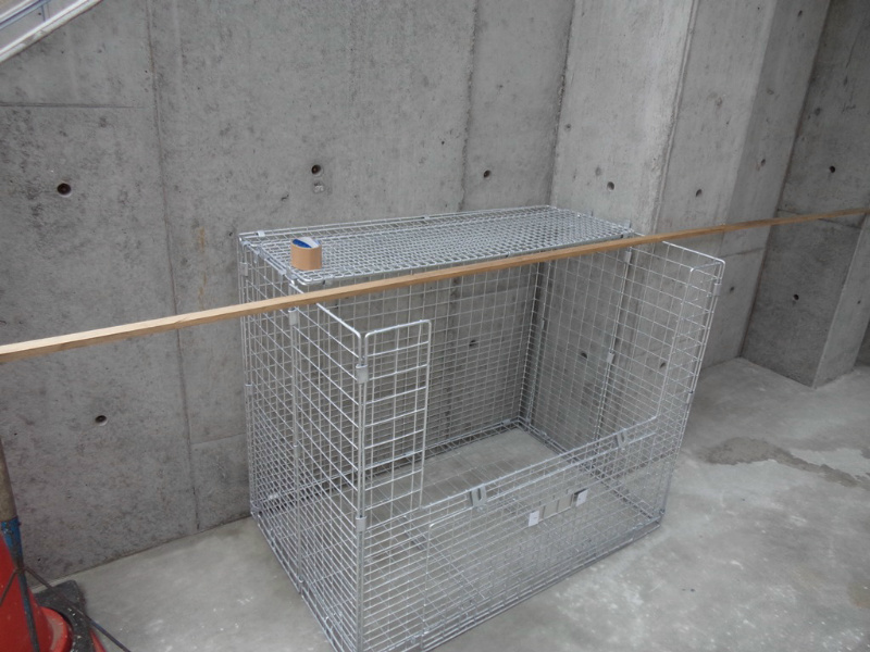Liever(リエーヴル)A棟 その他外観5