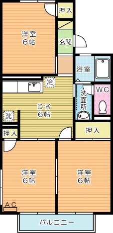 ハイツ桜橋　Ａ棟 205号室 間取り