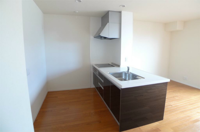 MAST COURT加古川南E キッチン