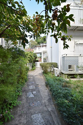 ラフィネ北白川　B棟  その他共有部分