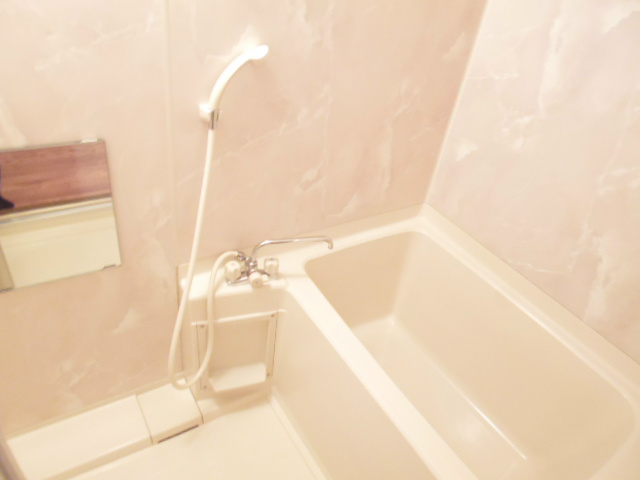 ベルカーサ生麦 風呂画像