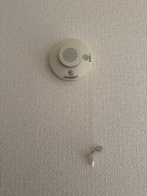 パレーシャル湘南館Ⅱ その他4