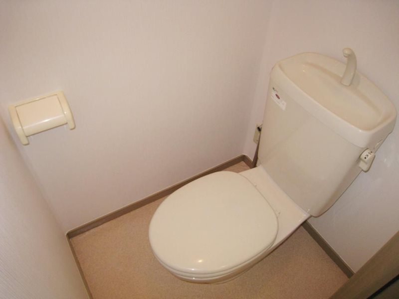 ロイヤルハイツB その他5