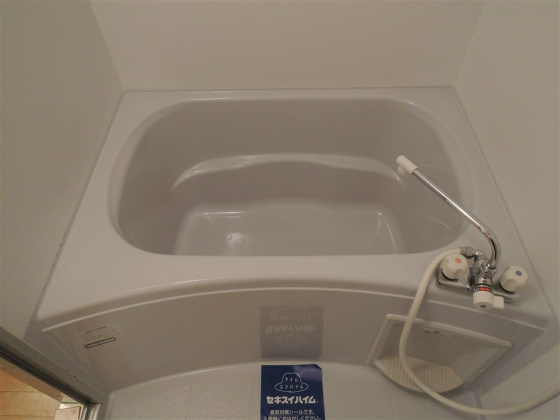 グランシャリオⅠ 風呂画像