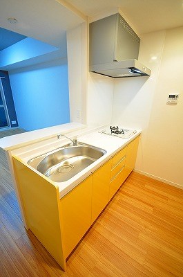 NEW SUN RIVER １５番館（ニューサンリバー１５番館） その他14