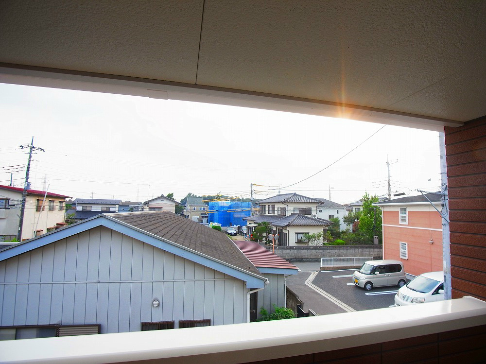 サンフラワー その他5