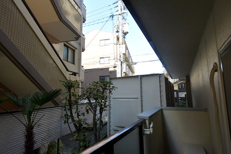 サンシャーリー 眺望