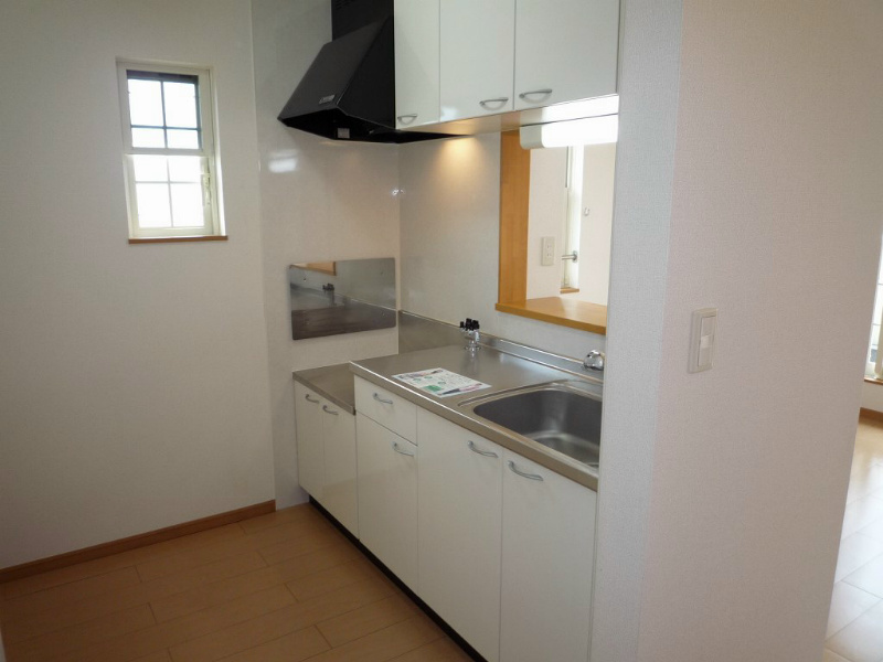 フレミールＣ その他2