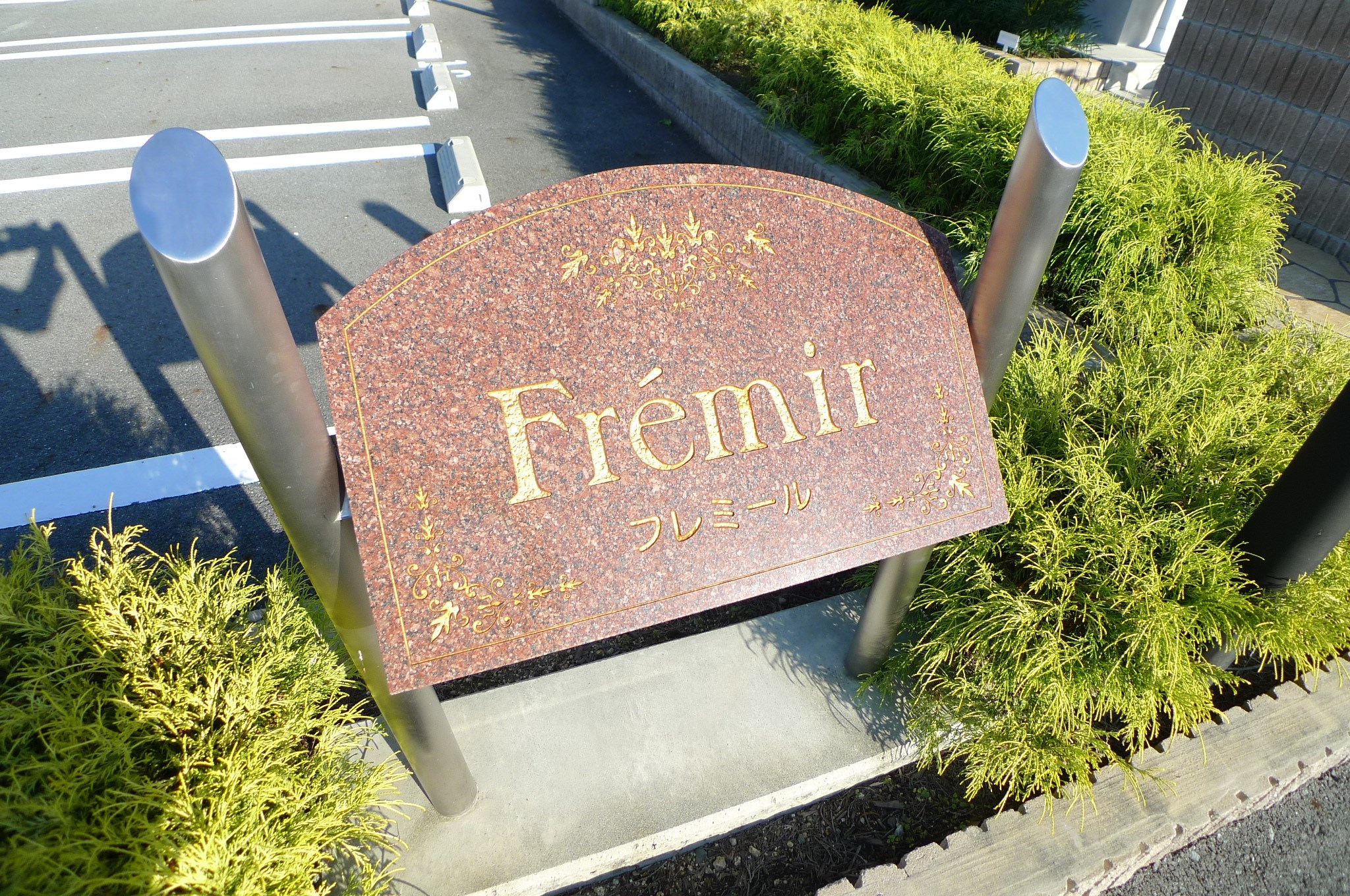 フレミールＣ その他7